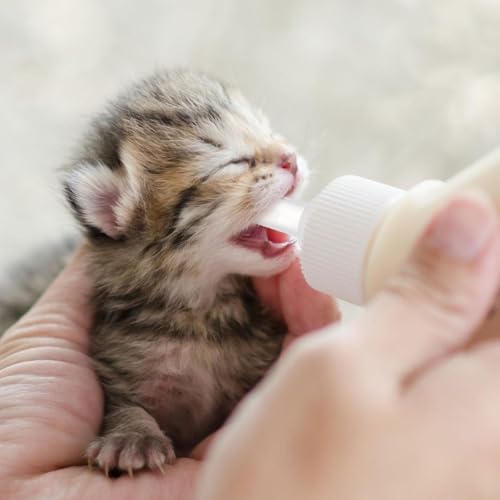 STOBOK Pet Nurser Nipples Silicone Replacement Pacifiers for Pet Food Bottles Artificial Feeding Supplies for Rabbits Chinchillas and Newborn Small Animals Soft Flexible Teats 0.98 X 0.62 in