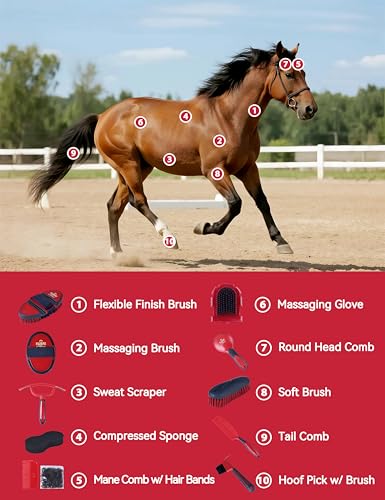 11-Piece Horse Grooming Kit with Waterproof Tote Shadowberry | 10 coordinated horse grooming tools with comfort-grip designs and a spacious waterproof tote for complete horse grooming - color: Shadowberry