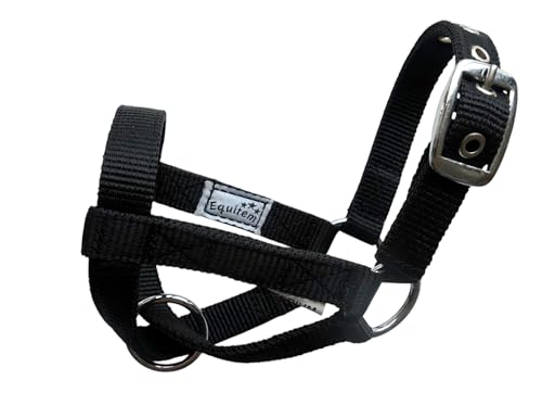 Livestock Goat Halter. Small, Medium, Large – Safe & Adjustable for Milking, Training, and Travel. (Black, Small (29"–32")) - color: Black, size: Small (29"–32")