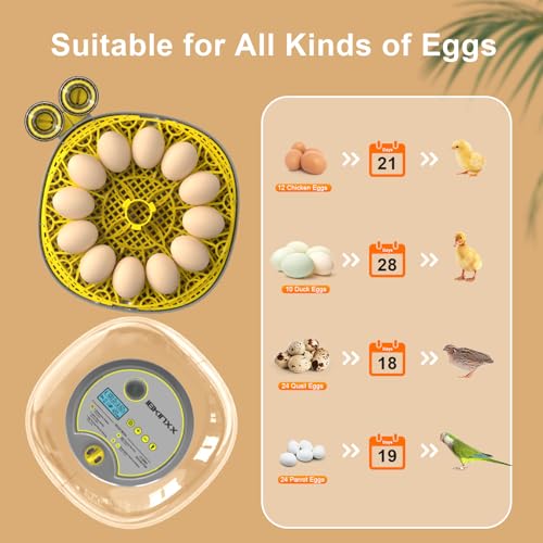Incubator for Hatching Eggs - 12 Egg Capacity, 360° Viewing for Chicken | Automatic Temp & Humidity Control, Auto Egg Turning & Built-in Egg Candler for Chicken, Duck, Goose & Quail (Grey) - color: Grey, size: 12 Egg