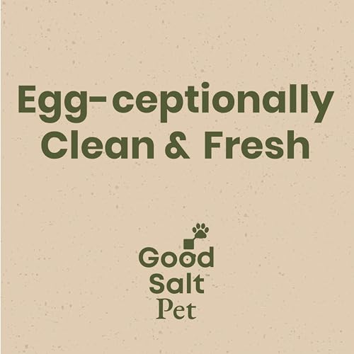 Egg Wash for Fresh Eggs, Non-Toxic Formula, 1 Gallon Refill | Fresh Chicken & Duck Eggs, Hypochlorous Acid, Remove Dirt, Food Safe, Fragrance-Free, Non-Toxic Cleaner, No Chemical Residue - size: 128 Fl Oz (Pack of 1)