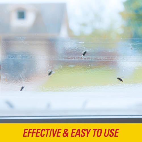 PIC Window Fly Traps (1),FTRP