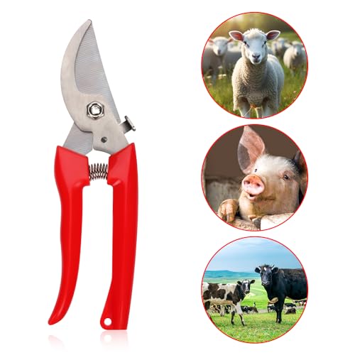 PEUTIER 3pcs Goat Hoof Trimmers and File, Nail Clippers for Goats Hoof Nippers Curved/Straight Head Sheep Hoof Trimming Shears Hoof Rasp Horseshoe File for Goat Sheep Lamb Pig Animal Hooves (Red)