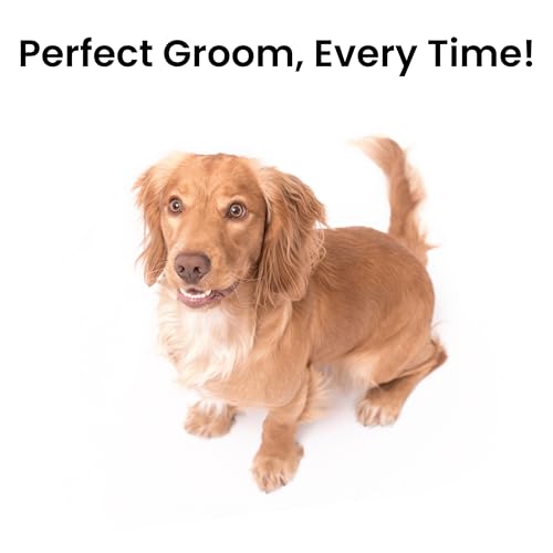 Fresh Ultra Half & Half XL Metal Pet Comb, Oval Aluminum Handle, Metal Grooming Comb for Dogs, 9.75" - style: Ultra Half & Half XL