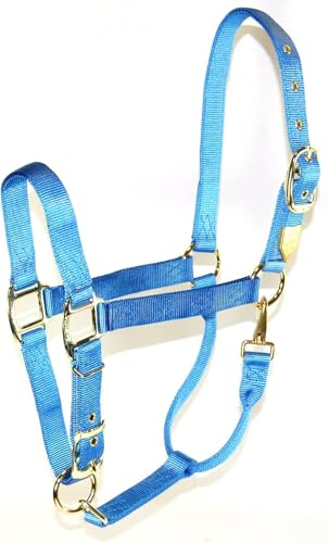 Hamilton Deluxe Adjustable Horse Halter, 800-1100 lbs, Berry Blue | Premium Quality 1" Triple Ply Nylon, Average/Arabian/Yearling Draft, Adjustable Chin Strap, Throat Snap, Solid Brass Hardware - color: Berry Blue, size: Average, 800-1100lbs