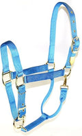 Hamilton Deluxe Adjustable Horse Halter, 800-1100 lbs, Berry Blue | Premium Quality 1" Triple Ply Nylon, Average/Arabian/Yearling Draft, Adjustable Chin Strap, Throat Snap, Solid Brass Hardware - color: Berry Blue, size: Average, 800-1100lbs