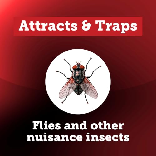 Starbar EZ Fly Stik Fly Trap Sticks, 6-Pack, 8-Inch, Insecticide-Free