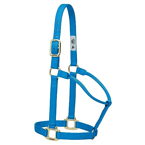 Weaver Leather Original Non-Adjustable Nylon Horse Halter, Yearling, Hurricane Blue