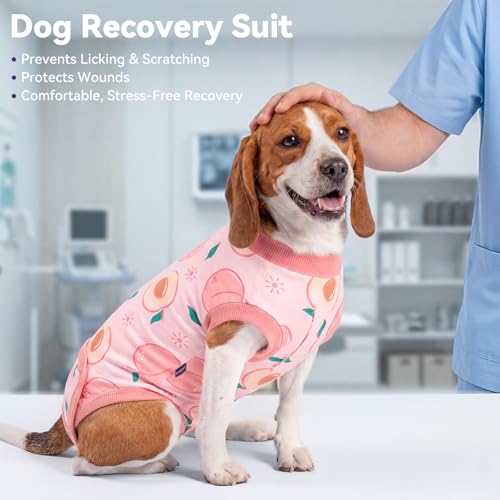 cyeollo Dog Surgery Recovery Suit, Spay Neuter Onesie for Female Male Dogs | Prevents Licking, Cone Alternative, After Spay & Neuter Body Suit, Protects Surgical Wounds, Easy Potty Access, 4-Way Stretch - color: 3# Peach, size: X-Small (Back: 9"-11")