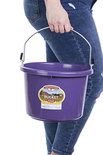 Little Giant® Plastic Animal Feed Bucket | Round Plastic Feed Bucket with Metal Handle | Made in USA | 8 Quarts | Purple - color: Purple