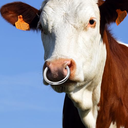 Bull Nose Rings Stainless Steel Cattle Nose Rings for Bulls and Cows Farm Animal Tool for Livestock Management and Animal Care (L) - size: L