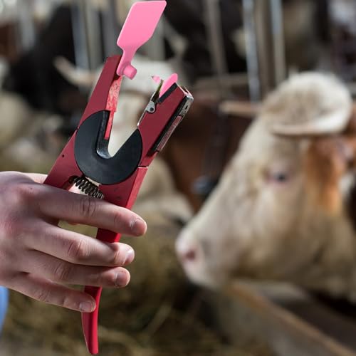 Lothee 100 Pcs Blank Cattle Ear Tags Large Plastic Precision Animal Identification Blank Livestock Ear Tags for Cattle Cow Horse Dog Pig Goat Sheep Farm Management (Pink) - color: Pink