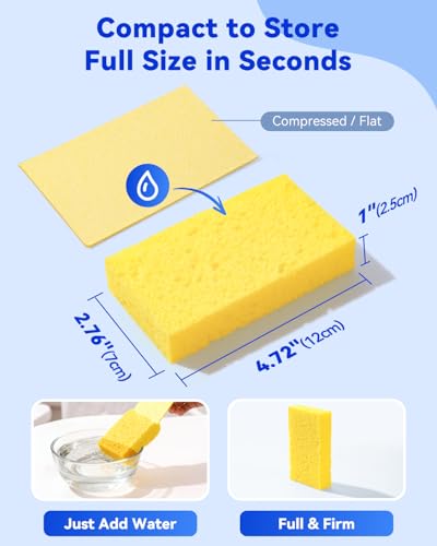 Temede 12-Count Cellulose Sponges, Heavy Duty Kitchen Sponges, Non-Scratch | Pop-Up Compressed Cellulose Dish Sponges, with a Durable and Firm Texture for Cookware, Bathroom and Household Cleaning - size: 12 Count (Pack of 1)