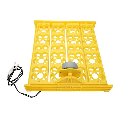 Egg Turning Tray, AC 110V Chicken Multifunction Automatic Turner Incubation, Quail Incubators for 16 Duck Eggs 16 Eggs 72 Quail Eggs - size: AC110V