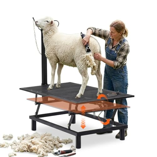 GTPLAYER Goat Milking Stand with Hand Crank,Wheels – 48"x23" Adjustable Headpiece & Height, for Grooming, Milking, Hoof Trimming, Heavy Duty Metal Sheep/Goat Stand, 500 LB Capacity Black