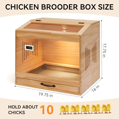 Brooder Box for Chicks, Wooden Chicken Brooder with Heat Lamp | Thermometer included, Clear acrylic panels, Slide-out mesh drawer, 5 disposable liners, Cleaning tools, Easy assembly