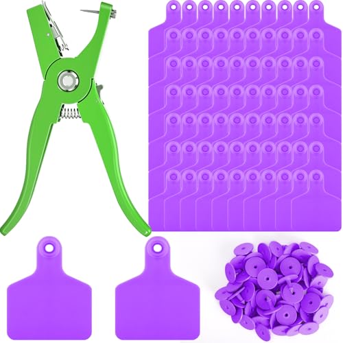 Lothee 100 Pcs Blank Cattle Ear Tags with Pliers Large Purple Plastic Precision Animal Identification Blank Livestock Ear Tags for Cattle Cow Horse Dog Pig Goat Sheep Farm Management - color: Purple