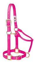 Weaver Leather Original Adjustable Nylon Horse Halter, Yearling, Diva Pink