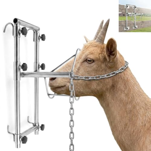 Heavy Duty Adjustable Stainless Steel Sturdy Goat Sheep Stand | Premium Reinforced Stainless Steel Livestock Trimming Goat Stand, 4-17.7 Inches Adjustable Height Animal Care Feeder Unit