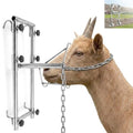 Heavy Duty Adjustable Stainless Steel Sturdy Goat Sheep Stand | Premium Reinforced Stainless Steel Livestock Trimming Goat Stand, 4-17.7 Inches Adjustable Height Animal Care Feeder Unit