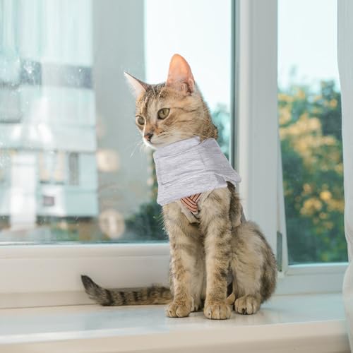 Cat Neck Brace, Adjustable Breathable Elizabethan Collar for Pet After Surgery Recovery Cat Neck Cervical Cone for Small Medium Dogs Puppies Kittens with Neck Circumference 8.2-10.2 Inch (Grey, S) - size: Small
