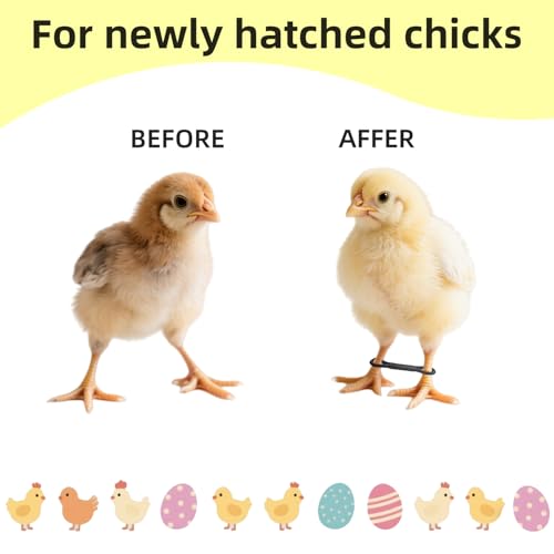 DoubleWood Chick Splay Leg Brace, 100 Pack Adjustable Poultry Hobble Bands for Newborn Poultry, 1-3 Days, Baby Chicks Splayed Leg Bands, Poultry Splay Hobble Brace
