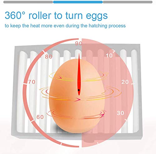 Egg Incubator,Egg Incubator with Automatic Egg Turning and Humidity Control,Poultry Hatcher for Chickens Ducks Birds (56 Eggs) - size: 56 Eggs