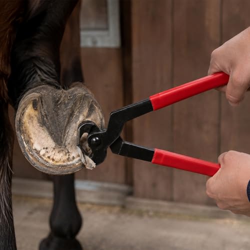 2-Pack 14 Inch Horse Hoof Nippers, Heavy Duty High Carbon Steel Farrier Tool, Professional Hoof Trimming Nippers for Horses Donkeys Cattle Sheep Livestock