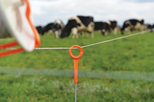 Gallagher 34" Ring-Top Fence Post for Electric Fencing and Boundary Marking | 50 Pack | Lightweight, Easy Installation, and Ideal for Rotational Grazing, Temporary Fencing, and Boundary Marking