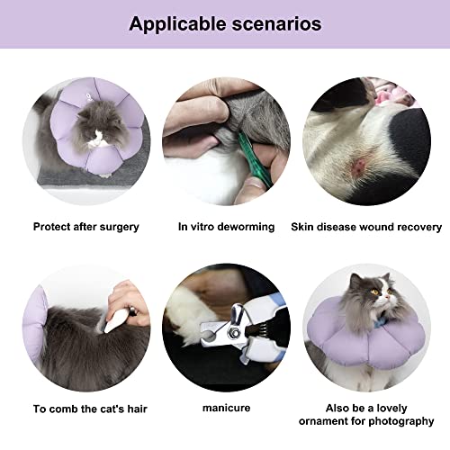 Cat Cone Collar,Cute Waterproof Cat Recovery Collar,Anti-Bite Lick Wound Healing Safety Elizabethan e Collar for Cats,Purple Flower All-Season Style… - color: purple, size: Medium