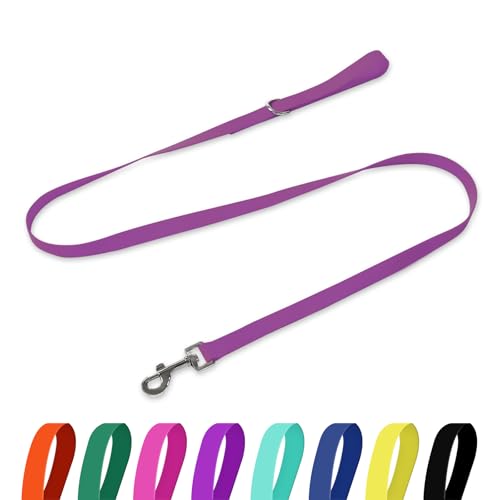 Waterproof Dog Leash, 5/6 FT Durable Odor-Proof Dog Leashes with Strong Metal Hooks Fits Small Medium or Large Dogs (Purple, 6FT - 1 inch Width) - color: Purple, size: 6FT - 1 inch Width