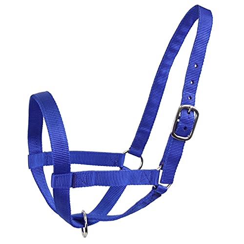 Derby Originals Adjustable Nylon Livestock Cattle Halters - color: Royal Blue, size: Medium (500-800lbs)