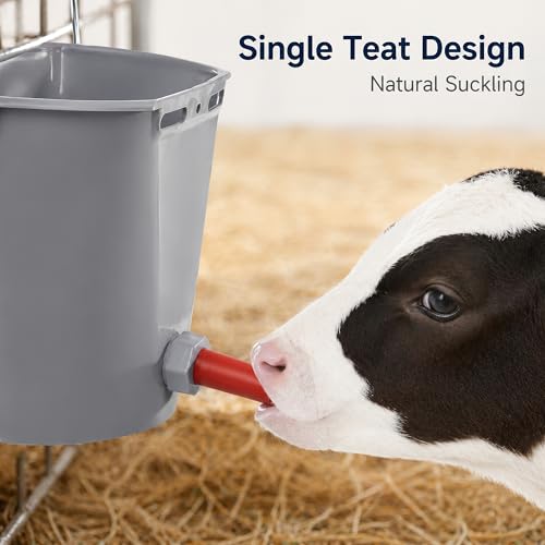 Calf Feeding Buckets, 3 Pack 8.45 Qt Single Teat Feeders | removable teat, with metal hanger, sturdy plastic, for milk feeding calves goats lambs and sheep