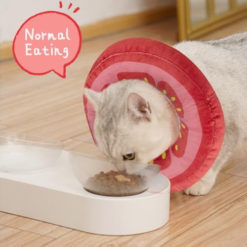 ANWA Adjustable Cat Cone Collar Soft, Cute Cat Donut Collar After Surgery, Kitten Recovery Cones to Stop Licking - color: Tomato, size: Medium