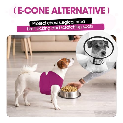 BRKURLEG Dog Chest Recovery Suit After Surgery, Purple XS | Dog Chest & shoulder Wound Cover, Breathable & Soft Anti-Licking Wound Vest, Not for Spay/Neuter Surgeries, Cone Alternative - color: Purple, size: X-Small