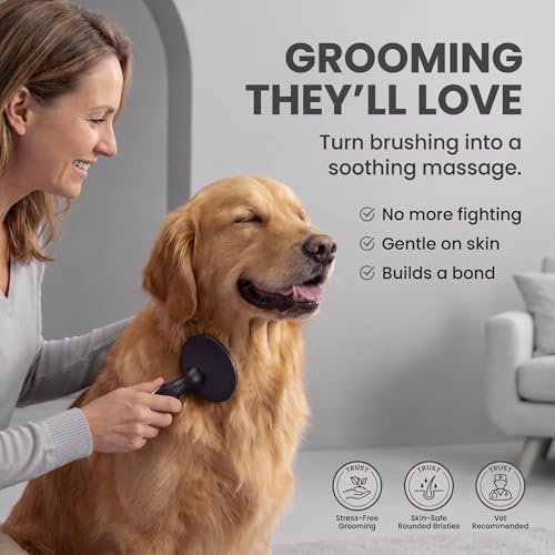 Round Bristle Pet Brush for Dogs and Cats - Soft Dog Brush for Grooming Short or Long Hair - Gentle Tool for Sensitive Skin Removes Dander, Dirt, and Detangles (Black) - color: Black