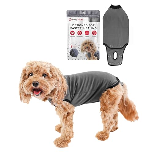 Dog Surgery Recovery Suit, Male Female After Spay Neuter Onesie | Soft Breathable Cotton, Anti-licking Cone Alternative, Protects Stitches & Abdominal Wounds, Patented Clip-up Potty System - color: Grey, size: Mini