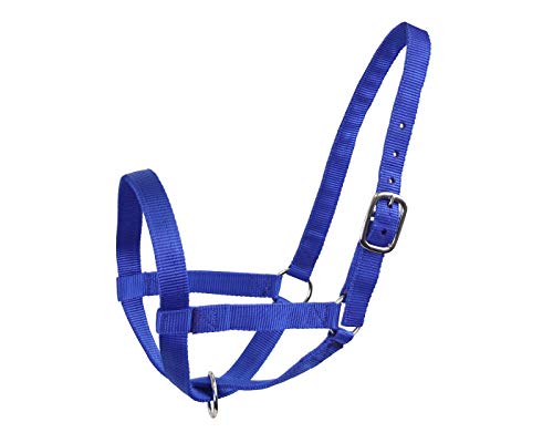 Derby Originals Adjustable Nylon Livestock Cattle Halters - color: Royal Blue, size: Small (250-500lbs)