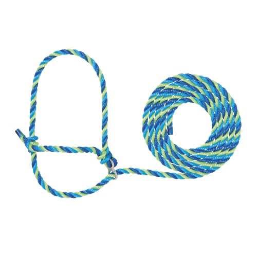 Weaver Livestock Poly Rope Breaking Cattle Halter, Adjustable Cow Calf Halter, Livestock Handling Equipment, Blue/Hurricane Blue/Lime Zest - color: Blue/Hurricane Blue/Lime Zest