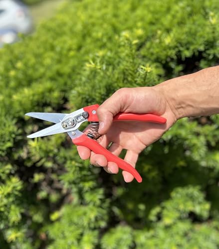 Hoof Trimming Shears, SK-5 Steel blade with Anti Fatigue Thermoplastic Rubber Handle for Hoof Care on Goats and Sheep, 32-734, Red