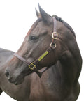 Turnout Leather Halter for Horses with Customized Engraved Name Plate | Brown Leather with Solid Brass Hardware | Fixed Chin, Double Buckle Crown - size: Yearling/Large Pony