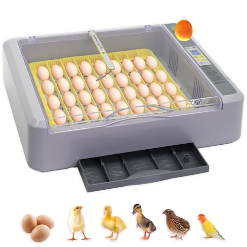 Automatic Egg Incubator, 36 Egg Capacity | Automatic Egg Turner, Thermometer Control & Humidity Control, Egg Candler, 360° View, For Hatching Chicks