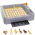 Automatic Egg Incubator, 36 Egg Capacity | Automatic Egg Turner, Thermometer Control & Humidity Control, Egg Candler, 360° View, For Hatching Chicks