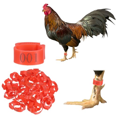 M METERXITY 50-Pack Adjustable Chickens Leg Bands, 17-22 mm Plastic Poultry Identification Chicken Leg Rings for Turkey/Duck/Goose/Chicks, Colorful Numbered Foot Clip on Tags [Red] - color: Red