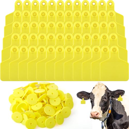 Lothee 100 Pcs Blank Cattle Ear Tags Large Plastic Precision Animal Identification Blank Livestock Ear Tags for Cattle Cow Horse Dog Pig Goat Sheep Farm Management (Yellow) - color: Yellow