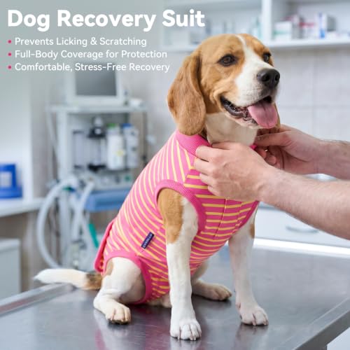 cyeollo Dog Surgery Recovery Suit, Surgical Onesie for Female & Male Dogs | Prevents Licking, Cone Alternative, Ideal After Spay & Neuter, Protects Surgical Wounds, Easy Potty Access, 4-Way Stretch - color: Fuchsia Stripes, size: X-Small (Back: 9"-11")