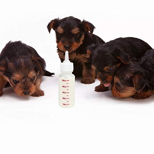 POPETPOP Pet Nursing Bottle Kit 6-Piece 50ml/1.7oz | Flexible nipples, Newborn puppies kittens and rabbits, Flexible material