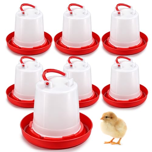 6 Pack Chick Waterer, 1L Poultry Water Feeder Plastic | Poultry Drinker with Handle, Chicken Water Dispenser, Waterer Hanging Poultry Water Container for Chickens Quail