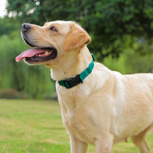 Waterproof Dog Collar, Easy to Clean Rubber Dog Collars with Quick Release Buckle Fits Small Medium or Large Dogs (Emerald Green, S < 9.5-14.1 inch) - color: Emerald Green, size: S (9.5-14.1 inch)