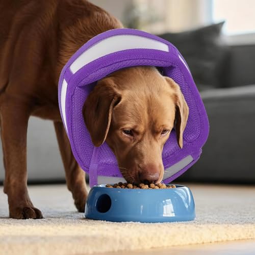 Dog Cone Collar After Surgery to Stop Licking | Adjustable Elizabethan Collar for Neutering, Lightweight Breathable Recovery Neck Cone to Prevent Biting Wounds & Hot Spots (Purple, L) - color: Purple, size: Large